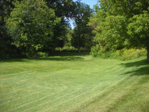 golf course augchipper 010